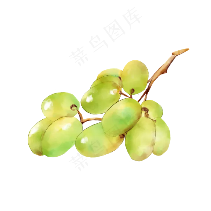 水果葡萄(2040X2040(DPI:300))psd模版下载