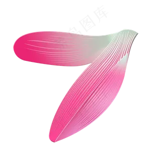 由荷花花瓣组成的心