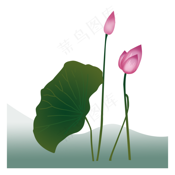 荷花荷叶png素材