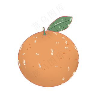 桔子可爱清新味道水果种植