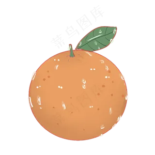 桔子可爱清新味道水果种植