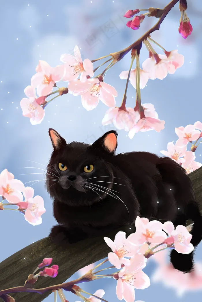可爱黑色猫咪樱花(3545X5315(DPI:300))psd模版下载