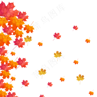 秋季凋零的树叶立秋节气,免抠元素