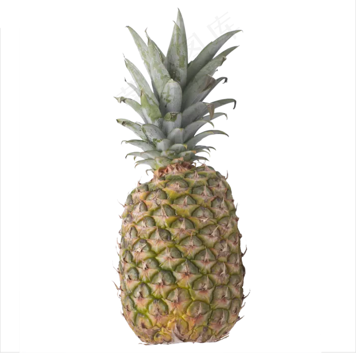 菠萝水果实拍(2000*2000px 300 dpi )