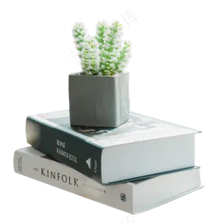 书本上的仙人掌,免抠元素