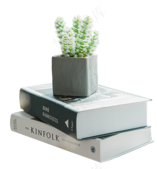 书本上的仙人掌,免抠元素