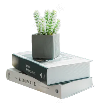 书本上的仙人掌,免抠元素