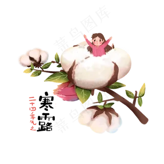 二十四节气寒露手绘棉花上的女孩,免抠元素