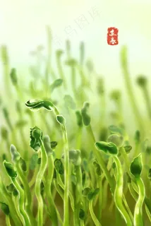 二十四节气之立春