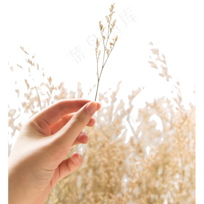 拿着植物的手指(2000X2000(DPI:300))psd模版下载