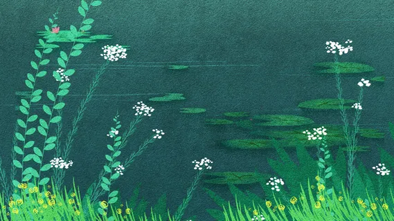 清新绿色系夏日池塘