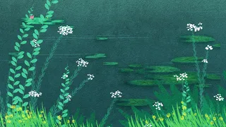 清新绿色系夏日池塘