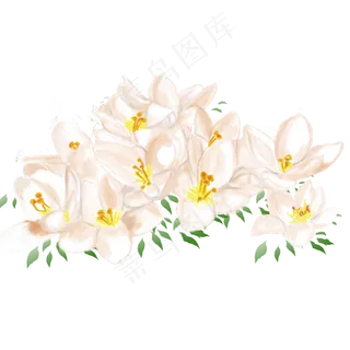 手绘百合花花团锦簇