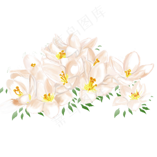 手绘百合花花团锦簇