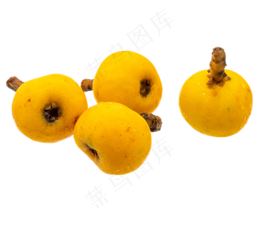 新鲜水果枇杷