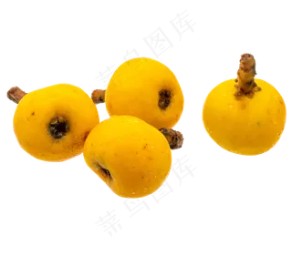 新鲜水果枇杷