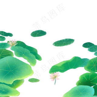 绿色的池塘荷叶免抠图
