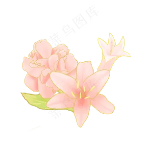 节日金边粉色手绘花叶装饰,免抠元素