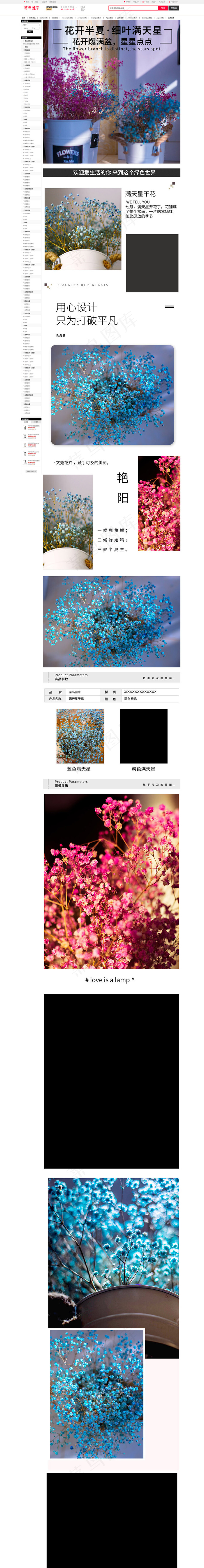 简约小清新干花花束家居ins网红满天星电商详情页