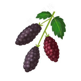 卡通手绘水果桑葚