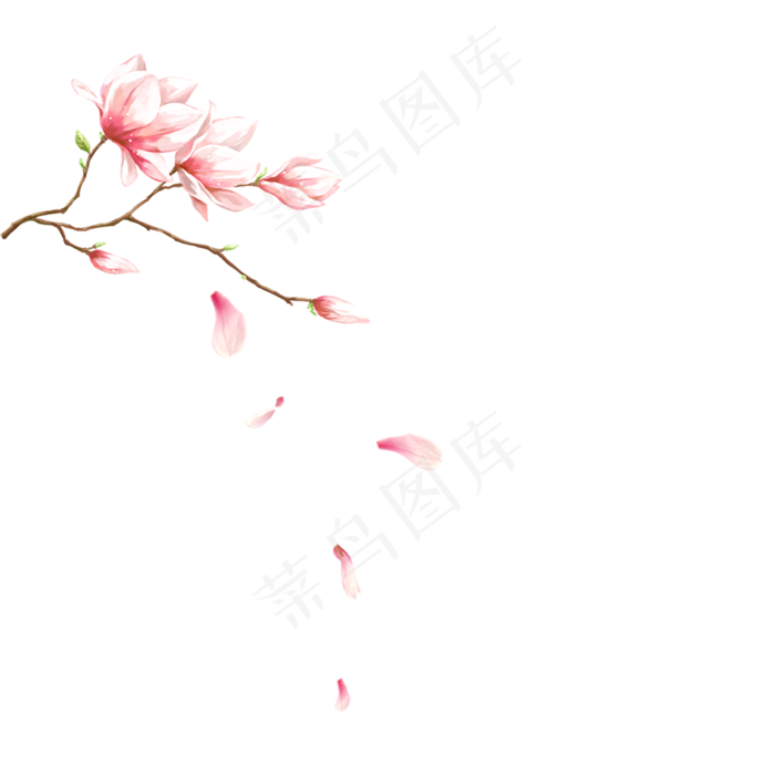 粉色花朵(2000*2000px 300 dpi )psd模版下载