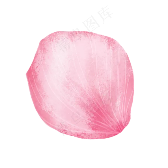 粉色玫瑰花瓣(2000X2000(DPI:300))psd模版下载