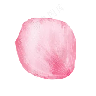 粉色玫瑰花瓣