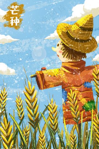 芒种麦田丰收稻草人