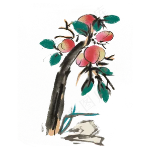 新鲜水果桃子手绘水墨风