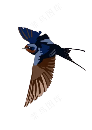 春分燕子免扣元素,免抠元素