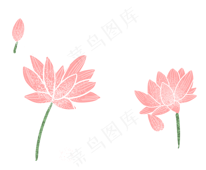 美丽荷花(1978X1636(DPI:300))psd模版下载