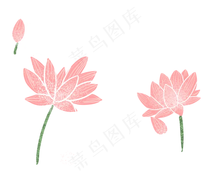 美丽荷花(1978X1636(DPI:300))psd模版下载