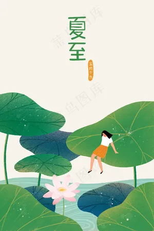 二十四节气夏至荷叶荷花池塘