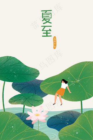 二十四节气夏至荷叶荷花池塘