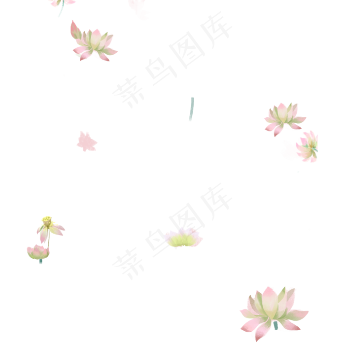 漂亮的荷花免抠图(2000X2000(DPI:300))psd模版下载