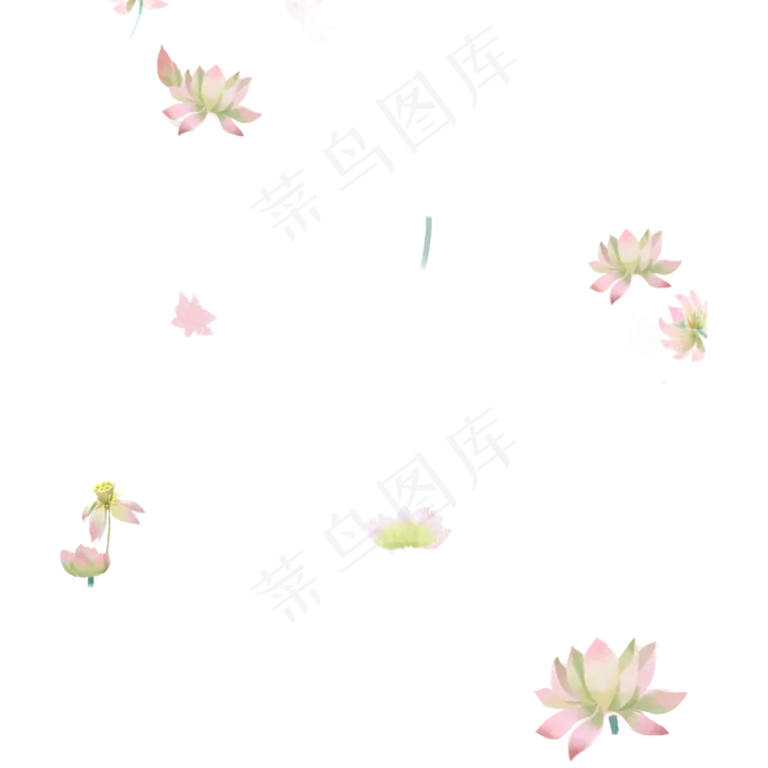漂亮的荷花免抠图(2000X2000(DPI:300))psd模版下载