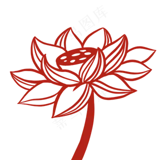 素描荷花创意插图