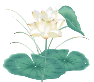 手绘卡通荷叶荷花免扣元素