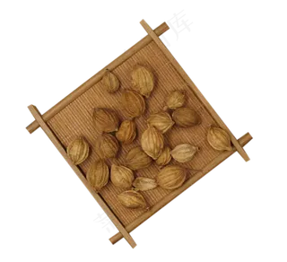 中草药系列之香砂仁,免抠元素