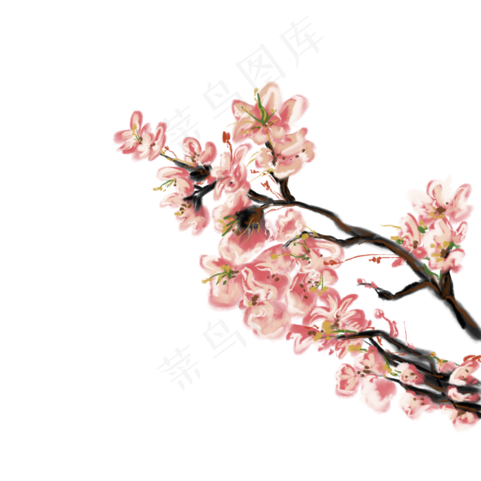 一枝繁花装饰插图免抠