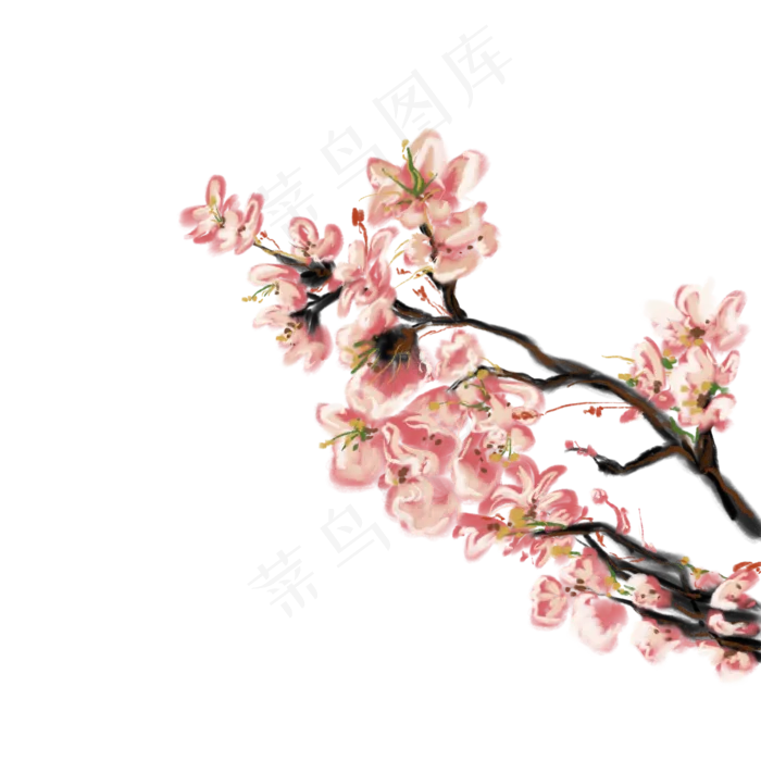 一枝繁花装饰插图免抠(2000X2000(DPI:132))psd模版下载