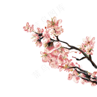 一枝繁花装饰插图免抠