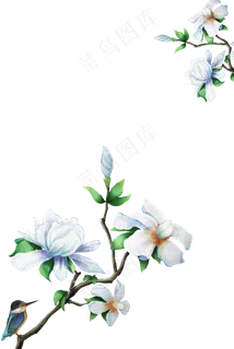 唯美栀子花国画花鸟边框,免抠元素 唯美栀子花国画花鸟边框,免抠元素