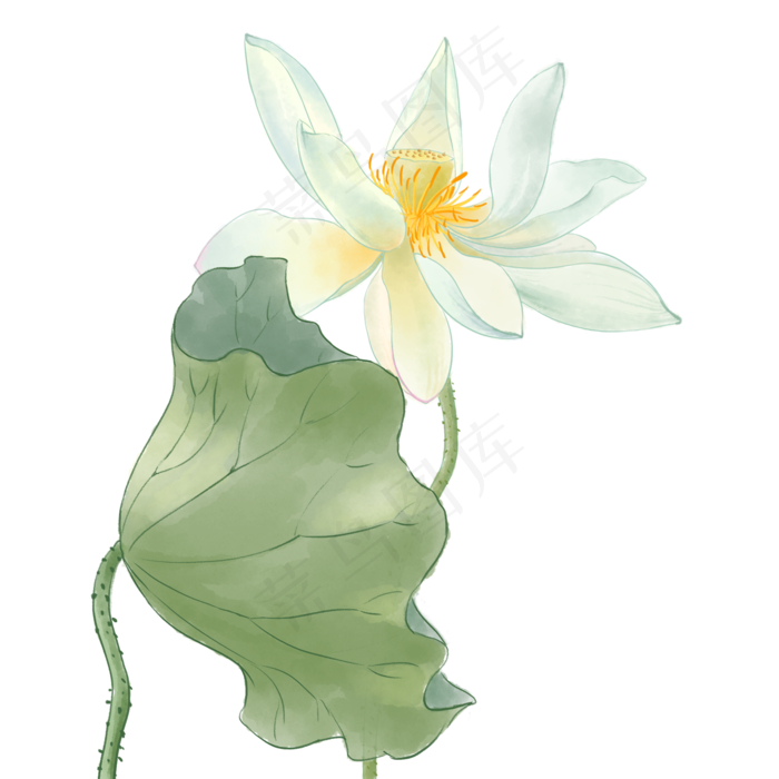 中国风荷花水彩画