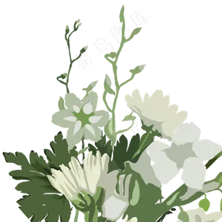 手绘大自然绿色小草