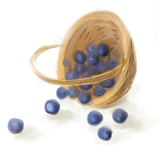 水墨篮子里的蓝莓