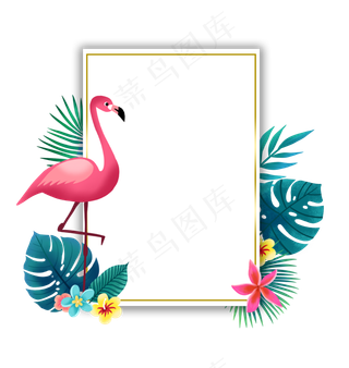 火烈鸟和植物边框,免抠元素