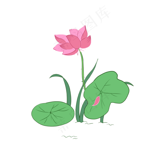 粉红色荷花和小草(3543X3543(DPI:300))psd模版下载