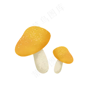黄色的蘑菇
