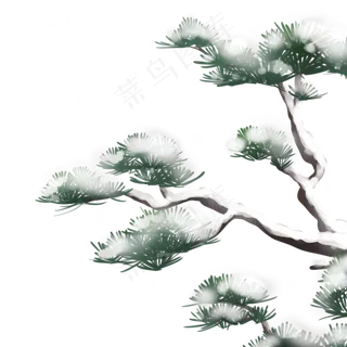 冬天雪中的松树,免抠元素